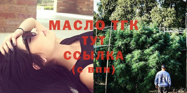 мдпв Богородицк