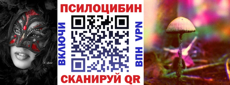 OMG ONION  Власиха  Галлюциногенные грибы прущие грибы 